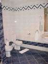 Desert Rose Resort 